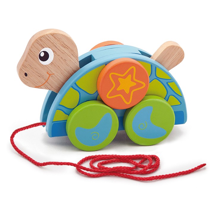 Pull-along - turtle